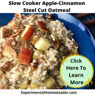 A bowl of oatmeal with diced apples on top.