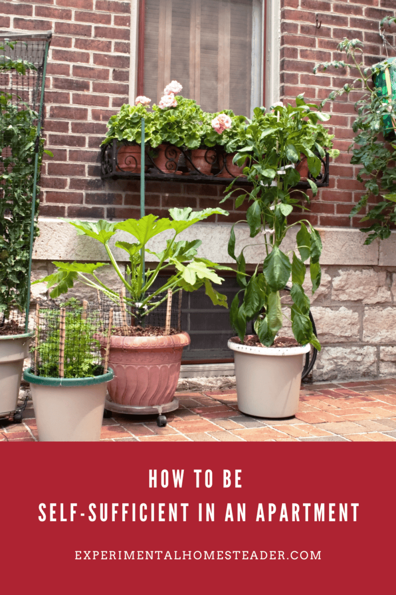 How To Be Self-Sufficient In An Apartment - Experimental Homesteader