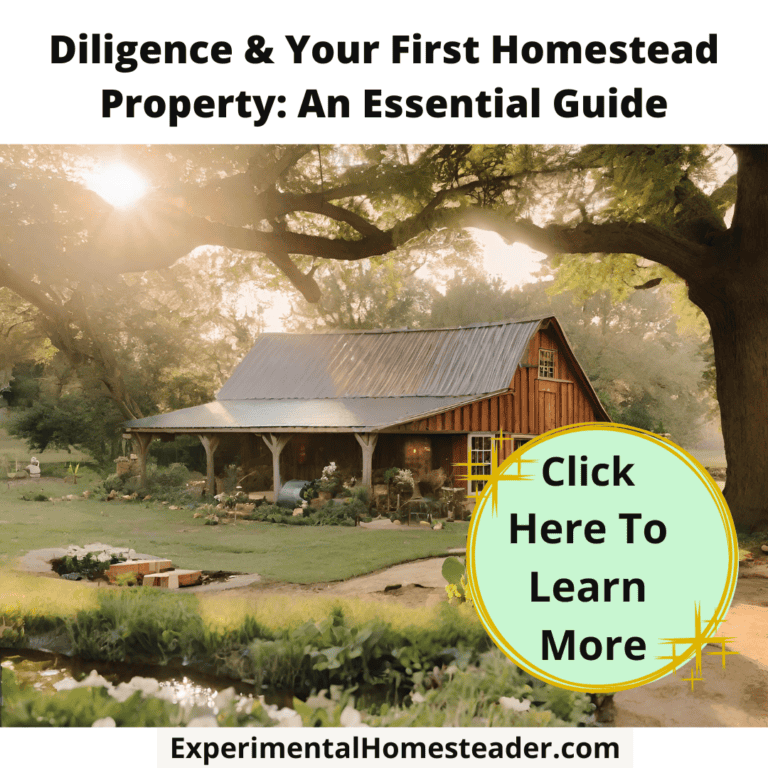 Wooden homestead with large trees and pond, rural homesteading lifestyle, sustainable living, agricultural property.