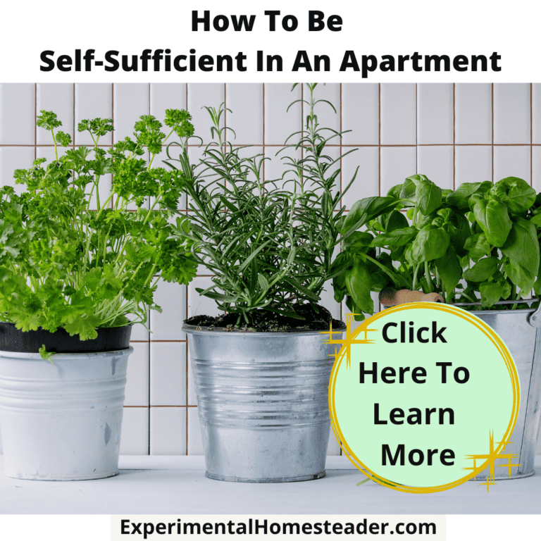 Fresh herbs in metal pots for urban self-sufficiency and sustainable living.