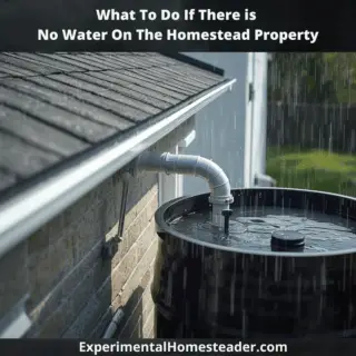 Rainwater collection system on a homestead roof with a black barrel catching rainwater from gutters.