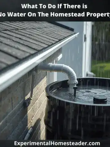 Rainwater collection system on a homestead roof with a black barrel catching rainwater from gutters.