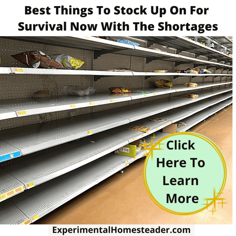 Empty grocery store shelves with minimal stock, emphasizing stocking up on survival supplies.