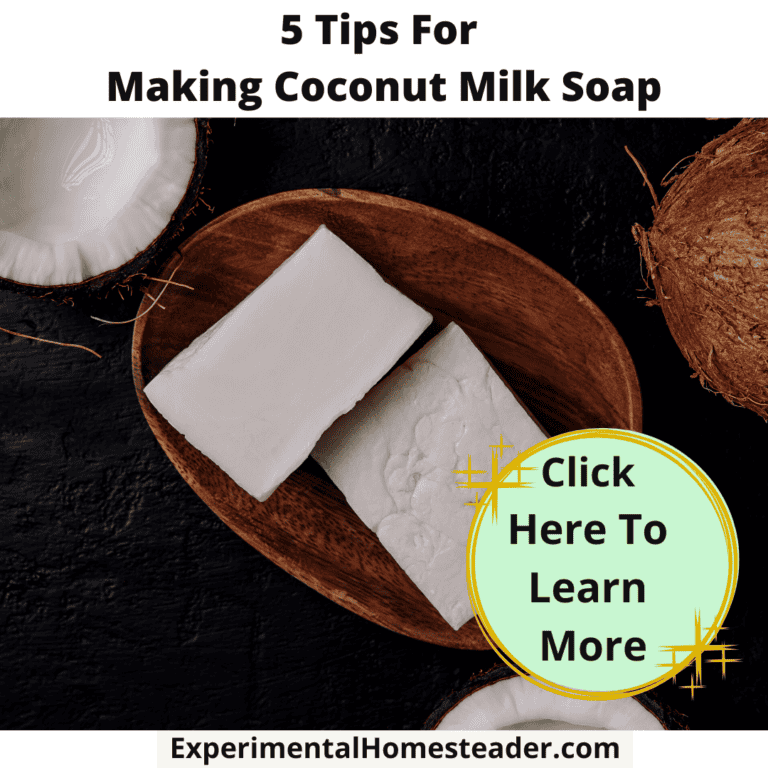 Creamy coconut milk soap made with natural ingredients for homemade skincare.