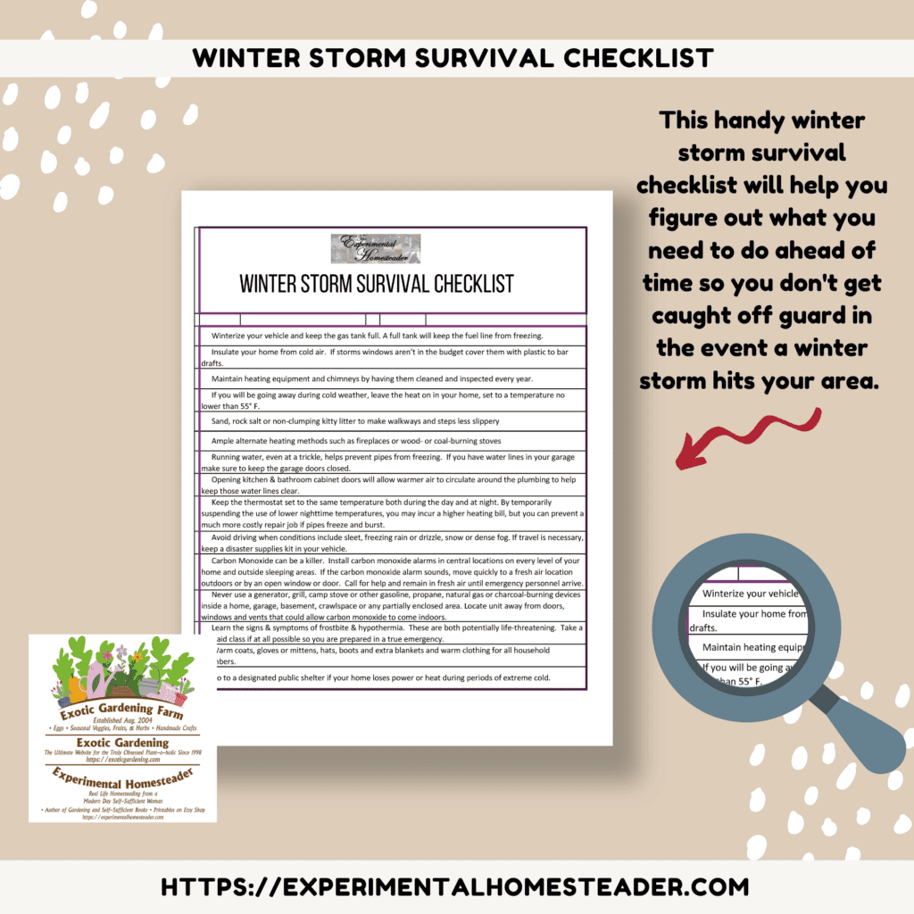 Winter Storm Survival Checklist Freebie