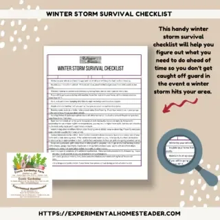 Winter Storm Survival Checklist Freebie