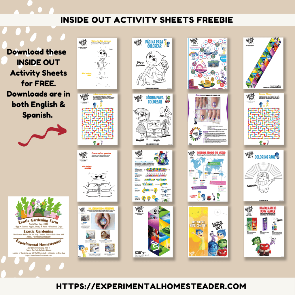 Moana Activity Sheets Freebie - Experimental Homesteader