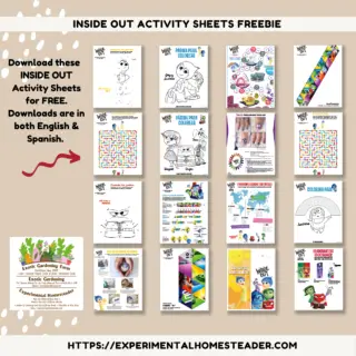 Inside Out Activity Sheets Freebie