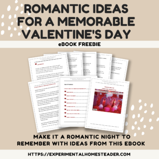 Romantic Ideas For A Memorable Valentine's Day eBook Freebie