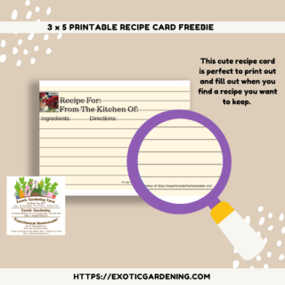 3 X 5 Printable Recipe Card Freebie
