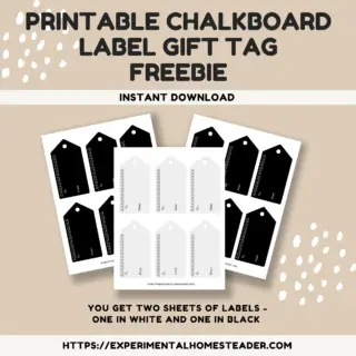 Printable Chalkboard Label Gift Tag Freebie