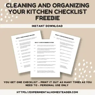 Cleaning And Organizing Your Kitchen Checklist Freebie