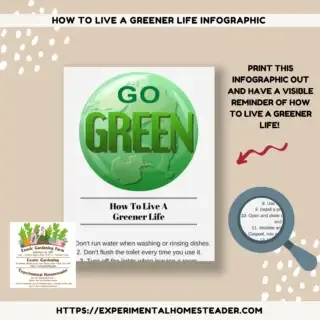 How To Live A Greener Life Infographic Freebie