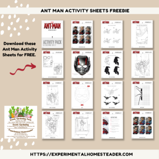 Ant Man Activity Sheets Freebie