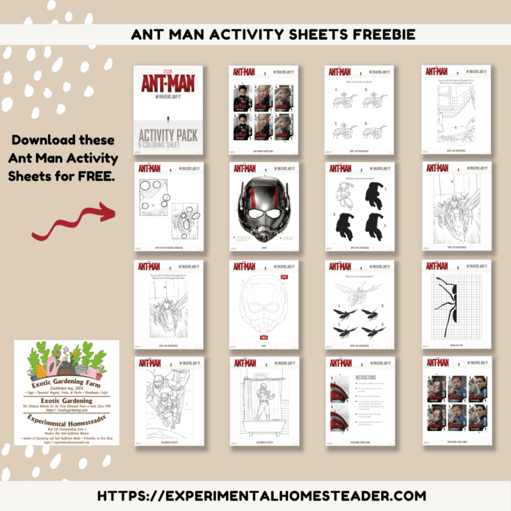Inside Out Activity Sheets Freebie - Experimental Homesteader