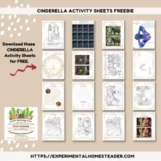 Cinderella Activity Sheets Freebie