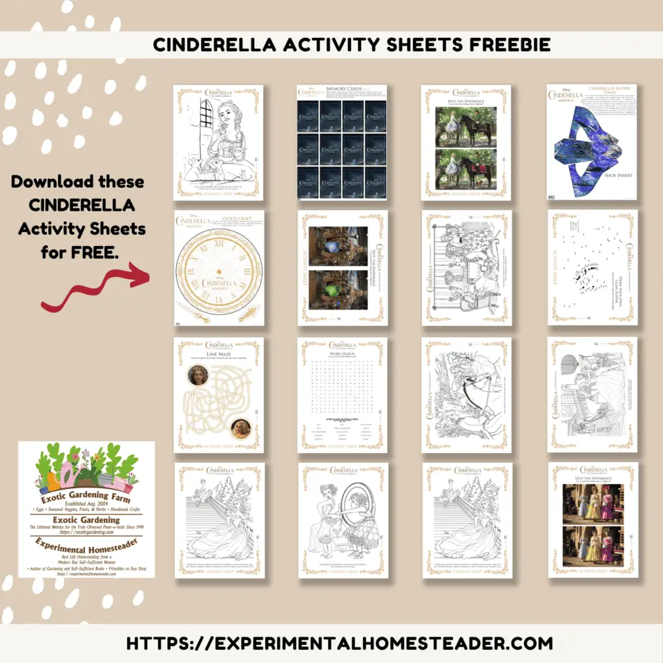 Inside Out Activity Sheets Freebie Experimental Homesteader inside-out-activity-sheets-freebie-experimental-homesteader
