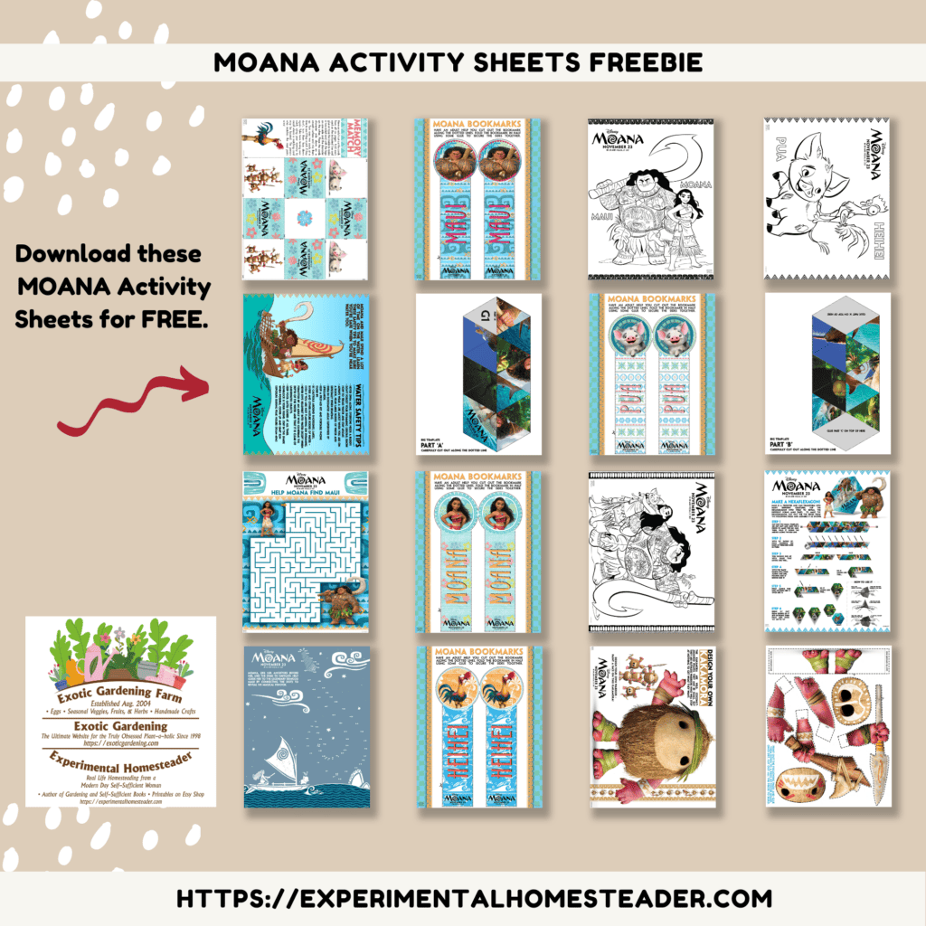Inside Out Activity Sheets Freebie - Experimental Homesteader