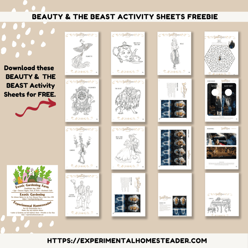Inside Out Activity Sheets Freebie - Experimental Homesteader