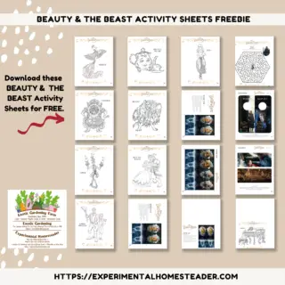 Beauty And The Beast Activity Sheets Freebie