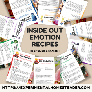 Inside Out Emotion Recipes Freebie