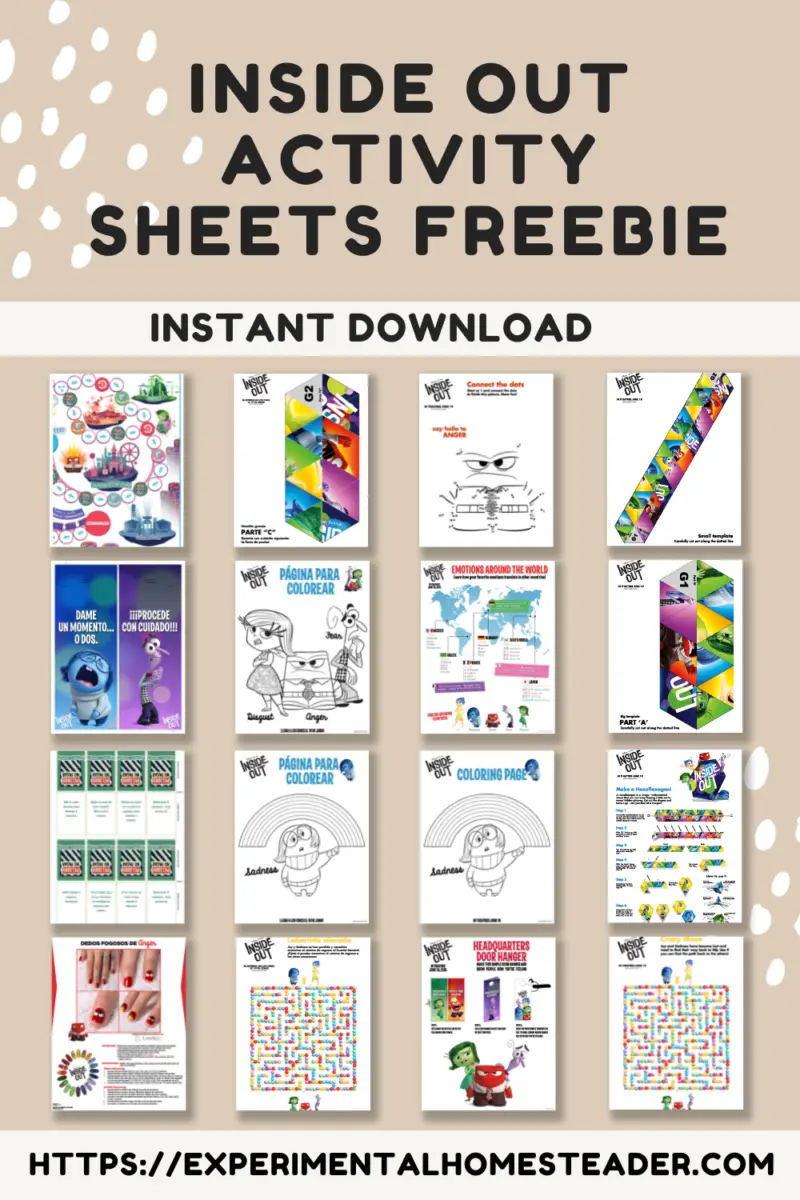 Inside Out Activity Sheets Freebie - Experimental Homesteader