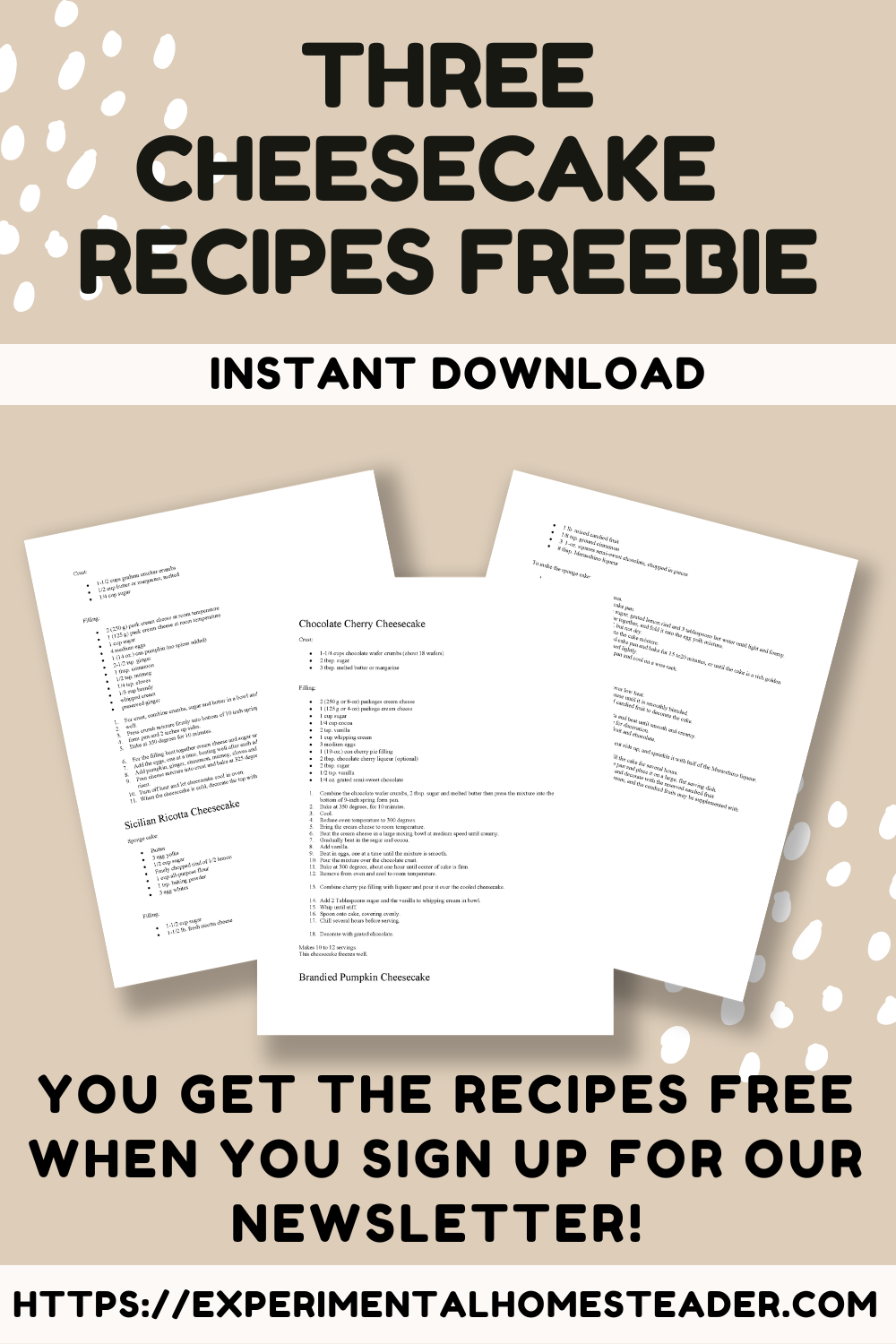 Three Cheesecake Recipes Freebie