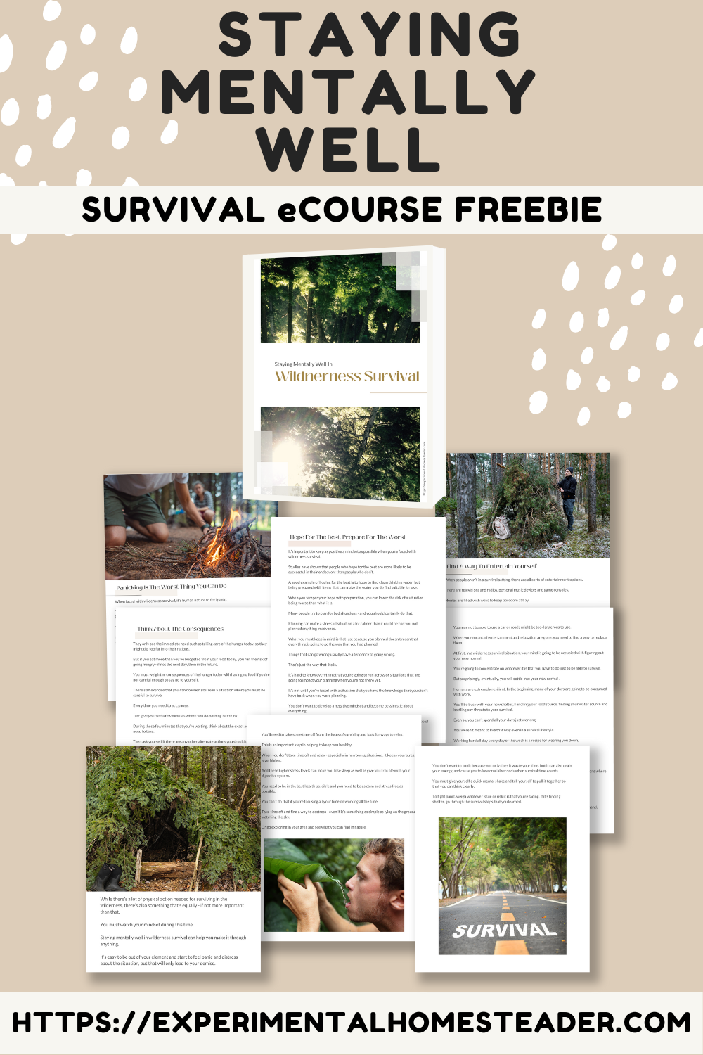 Staying Mentally Well Wilderness Survival eCourse Freebie