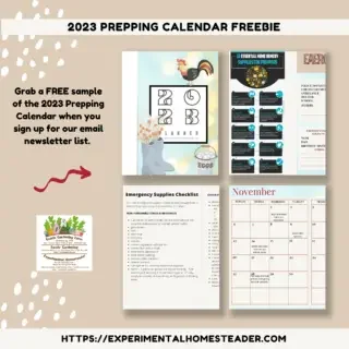 Opt-In 2023 Prepping Calendar Sampler