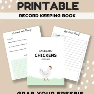Opt-In Backyard Chicken Keeping Record Book Printable Freebie