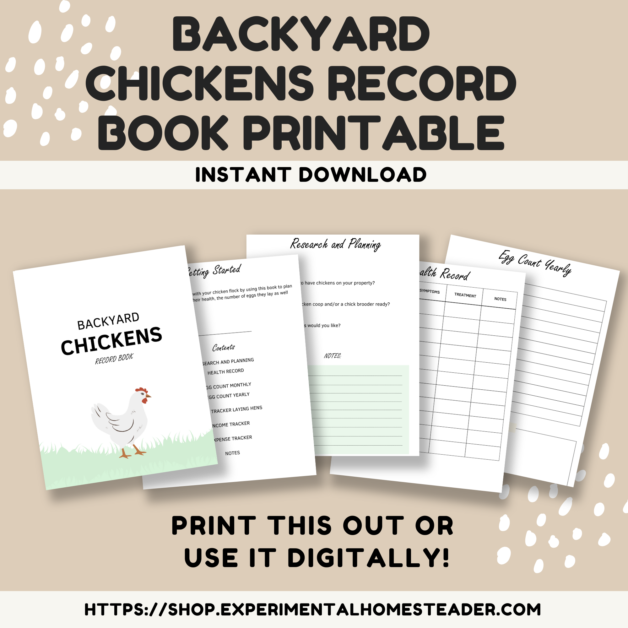 images of the backyard chicken binder