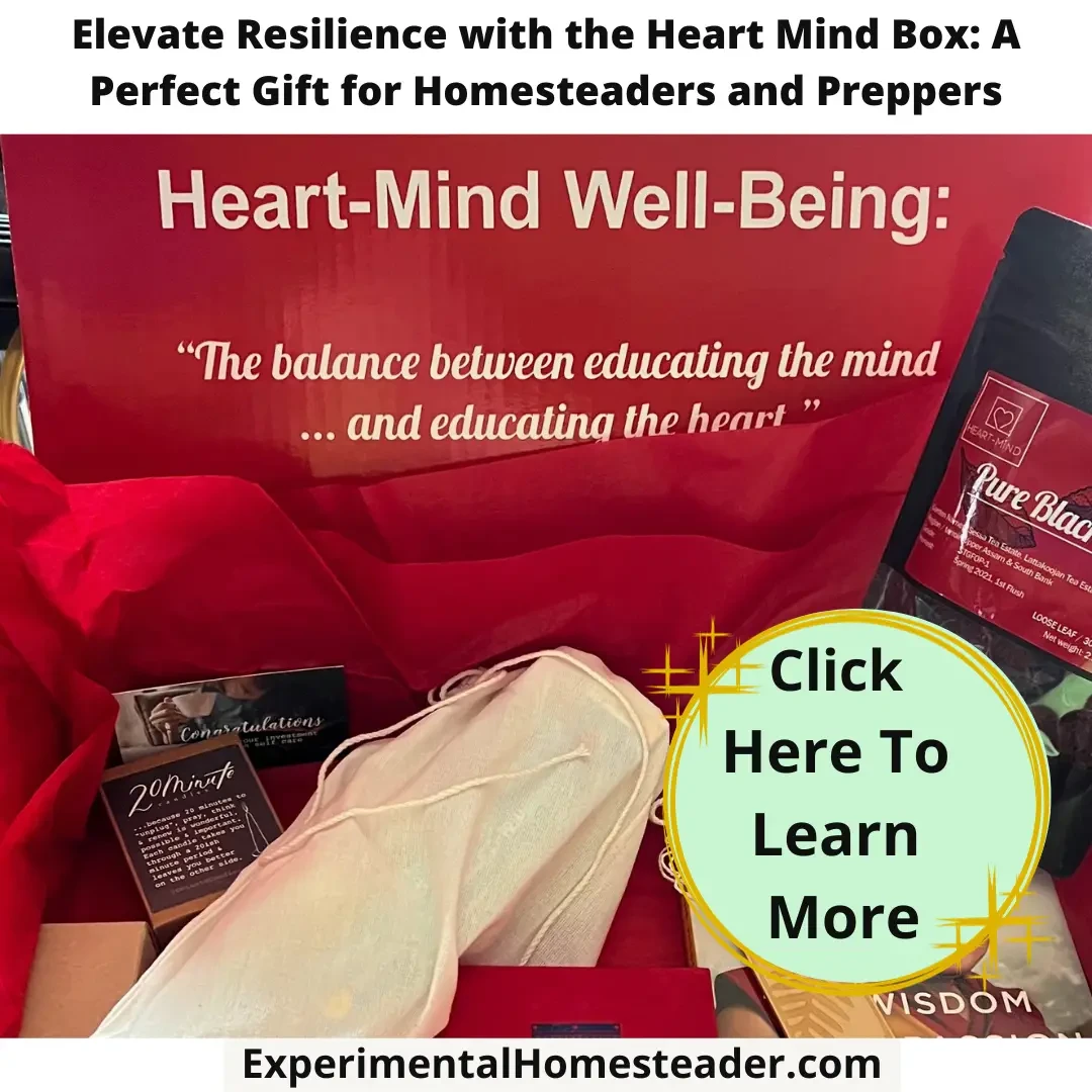 The contents of the Heart Mind Box