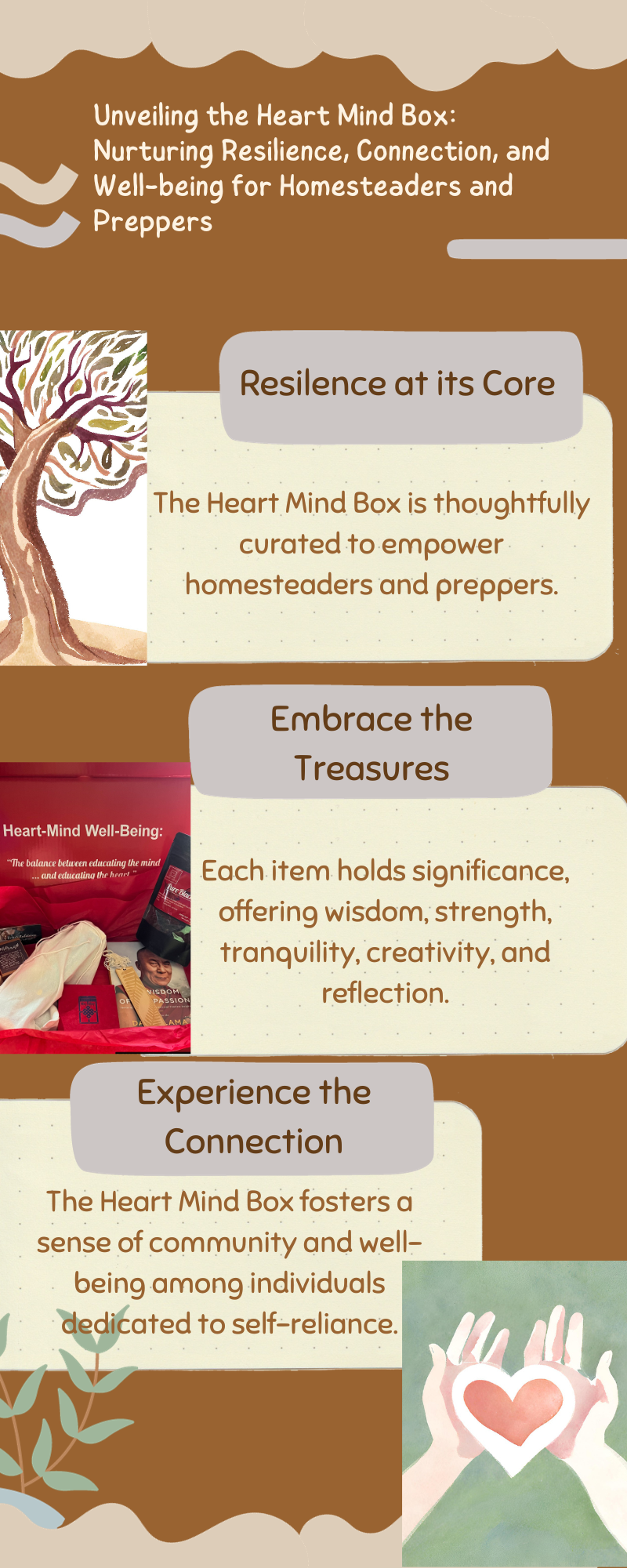 The infographic for the heart mind box.