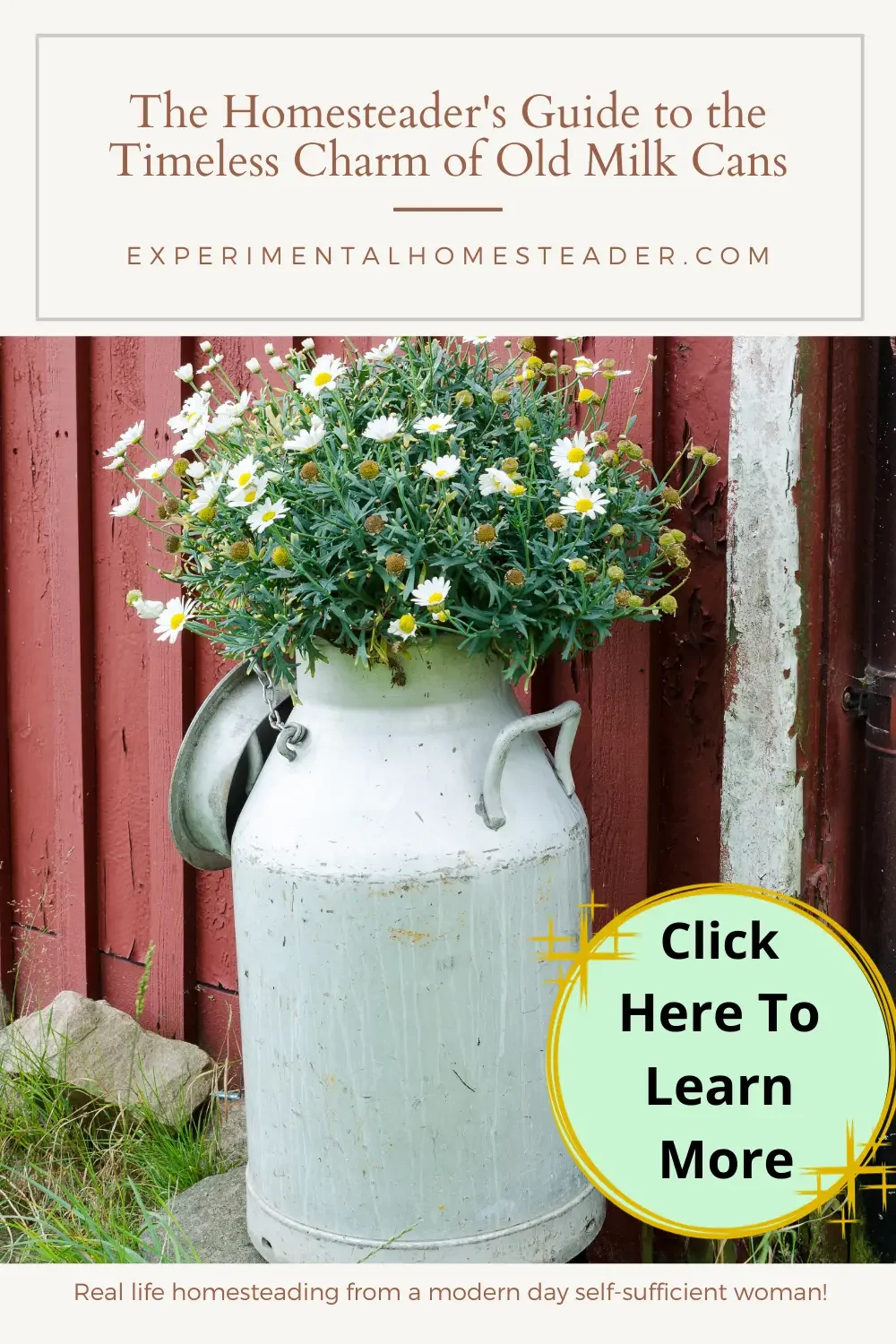 An old milk can with flowers growing in it.