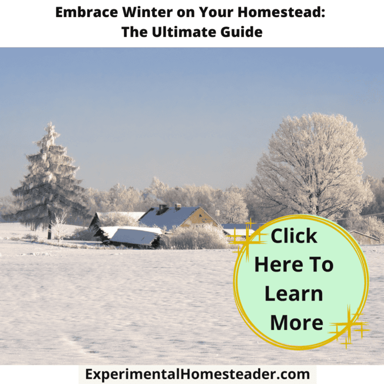 An image of a homestead after a snowfall.