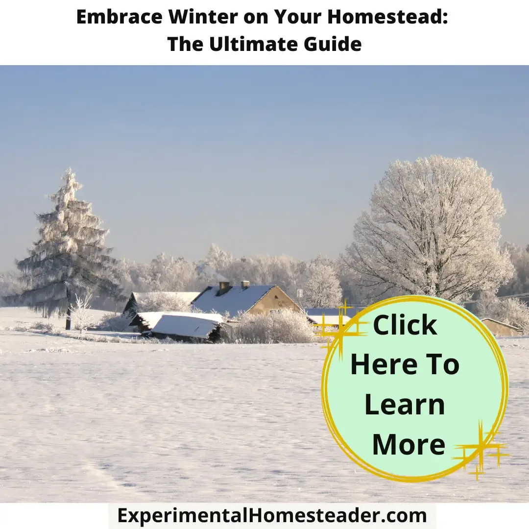 An image of a homestead after a snowfall.