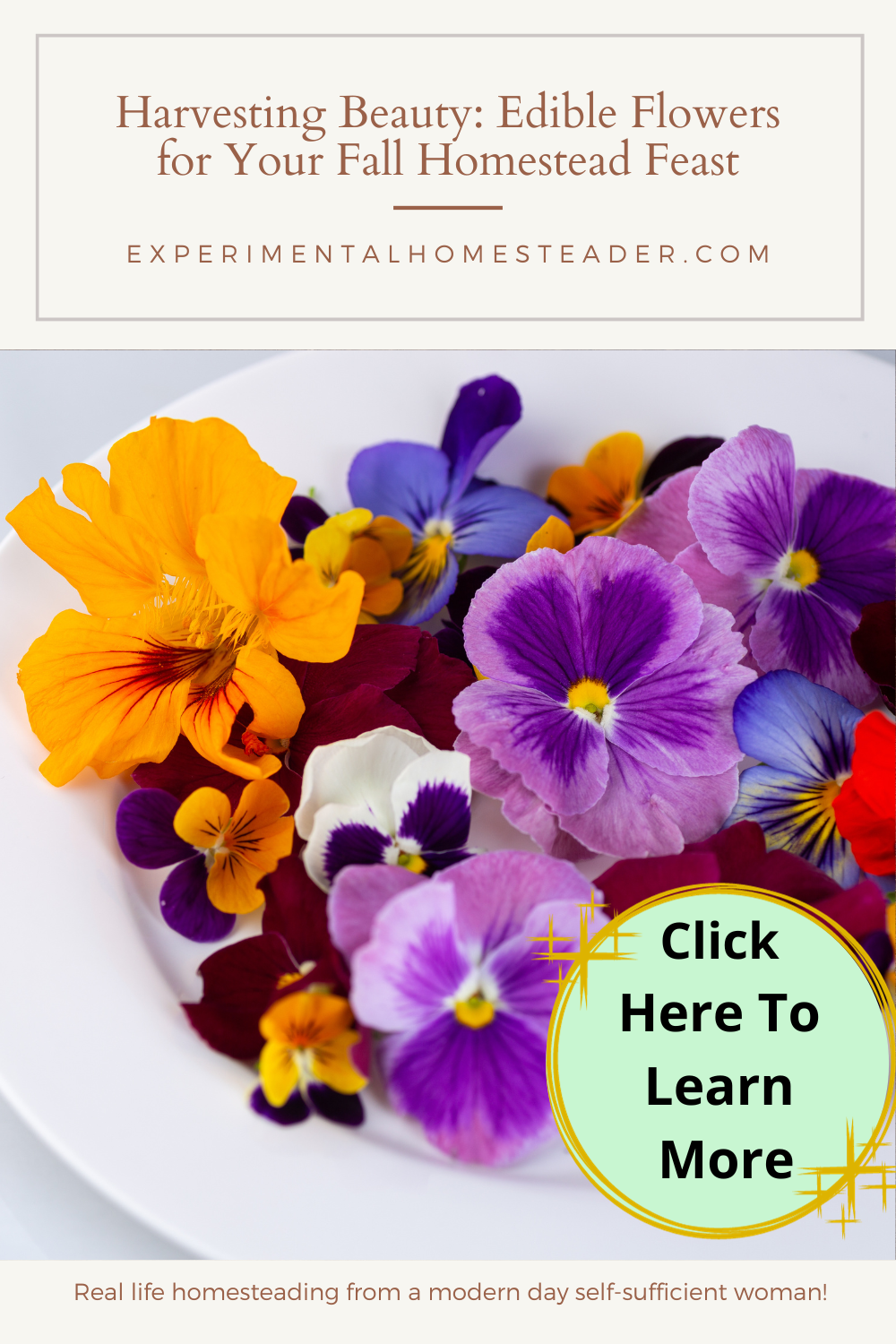 Edible flowers like violas, nasturtiums and pansies on a plate.