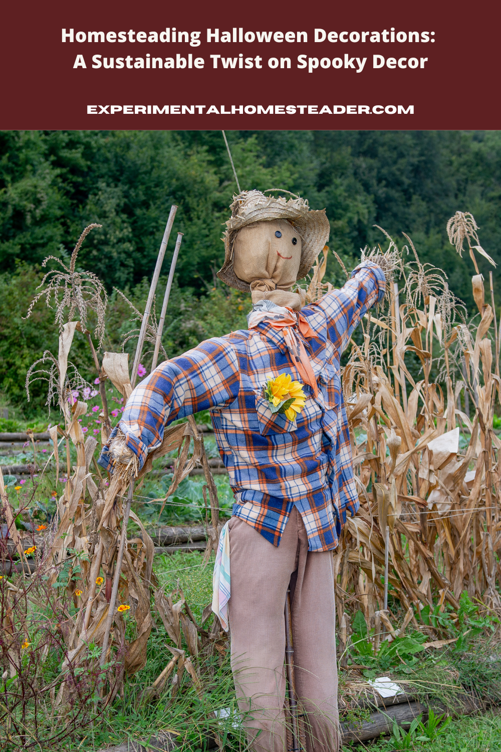 A cornstalk scarecrow.