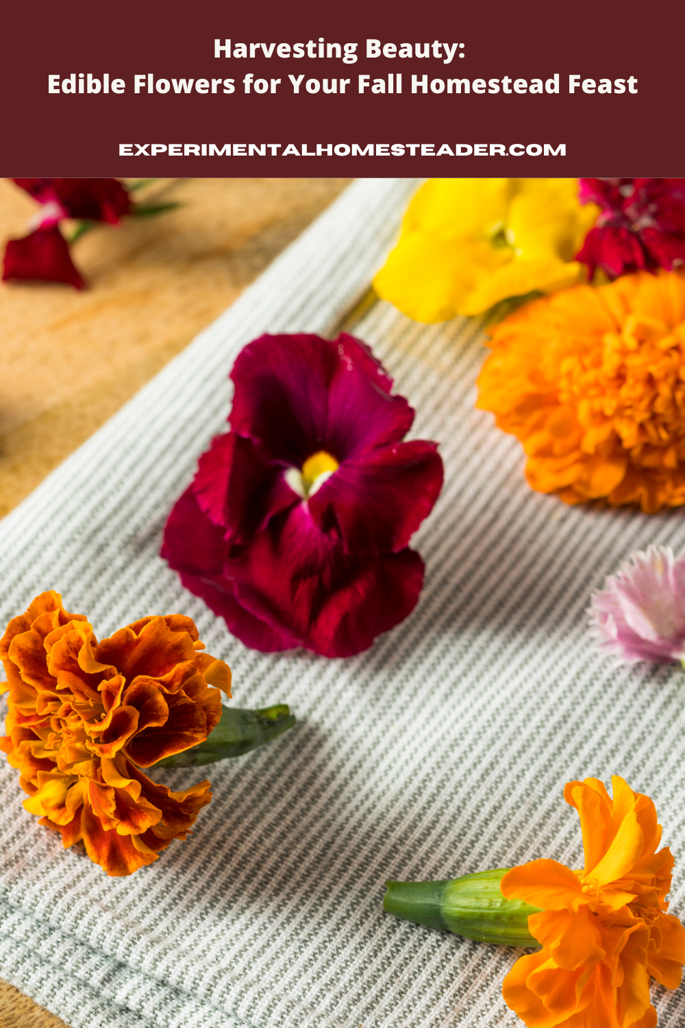 Marigolds and pansies laid out on a towel to dry.
