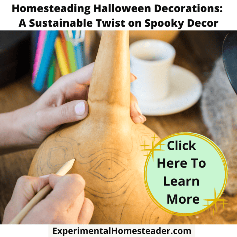 A dried gourd having a design drawn on it.