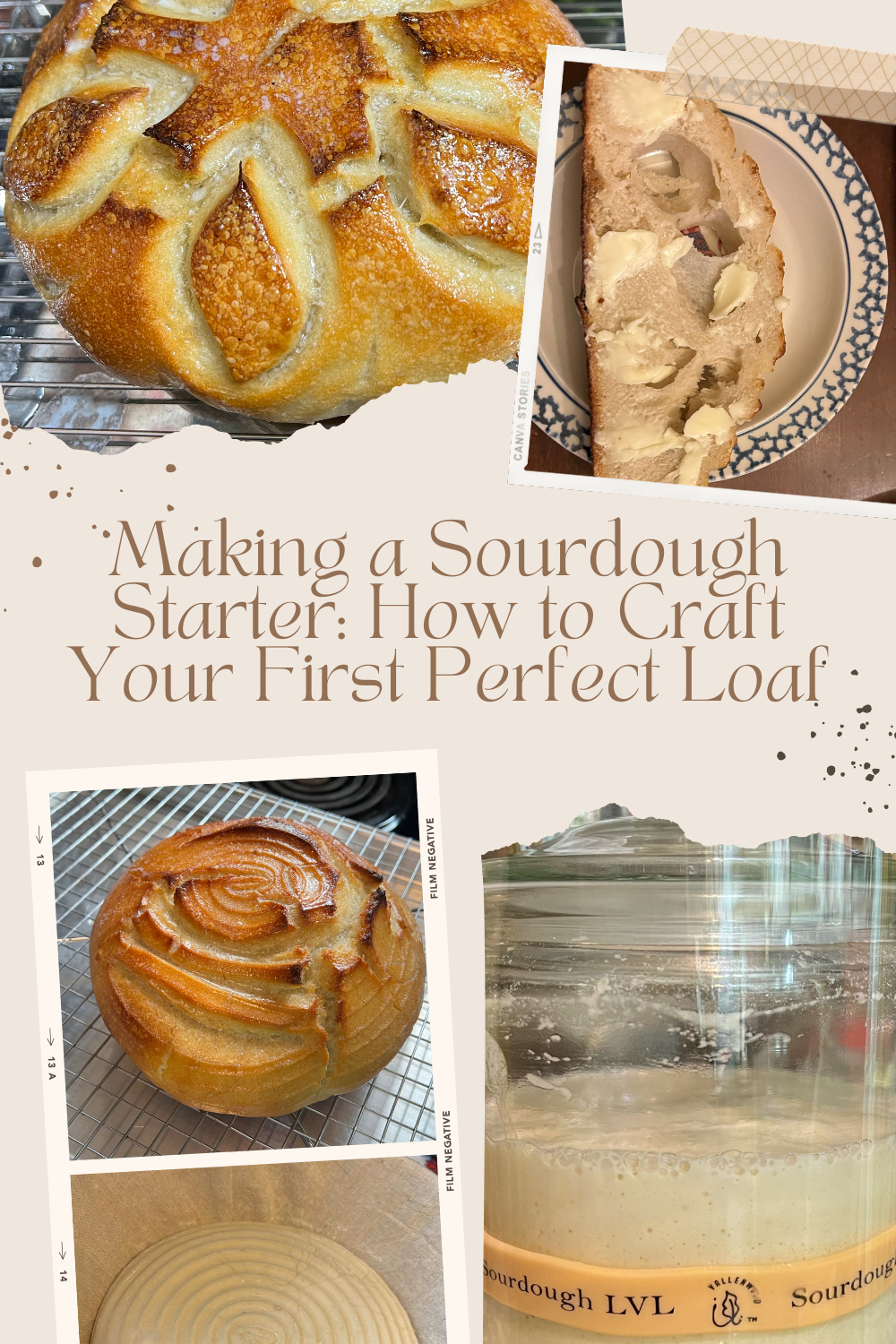 Various images of baked and unbaked sourdough boules plus sourdough starter.