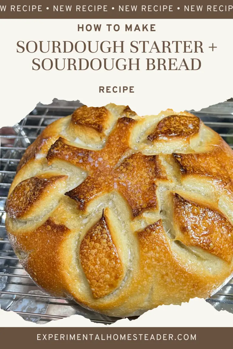 A sourdough boule baked.