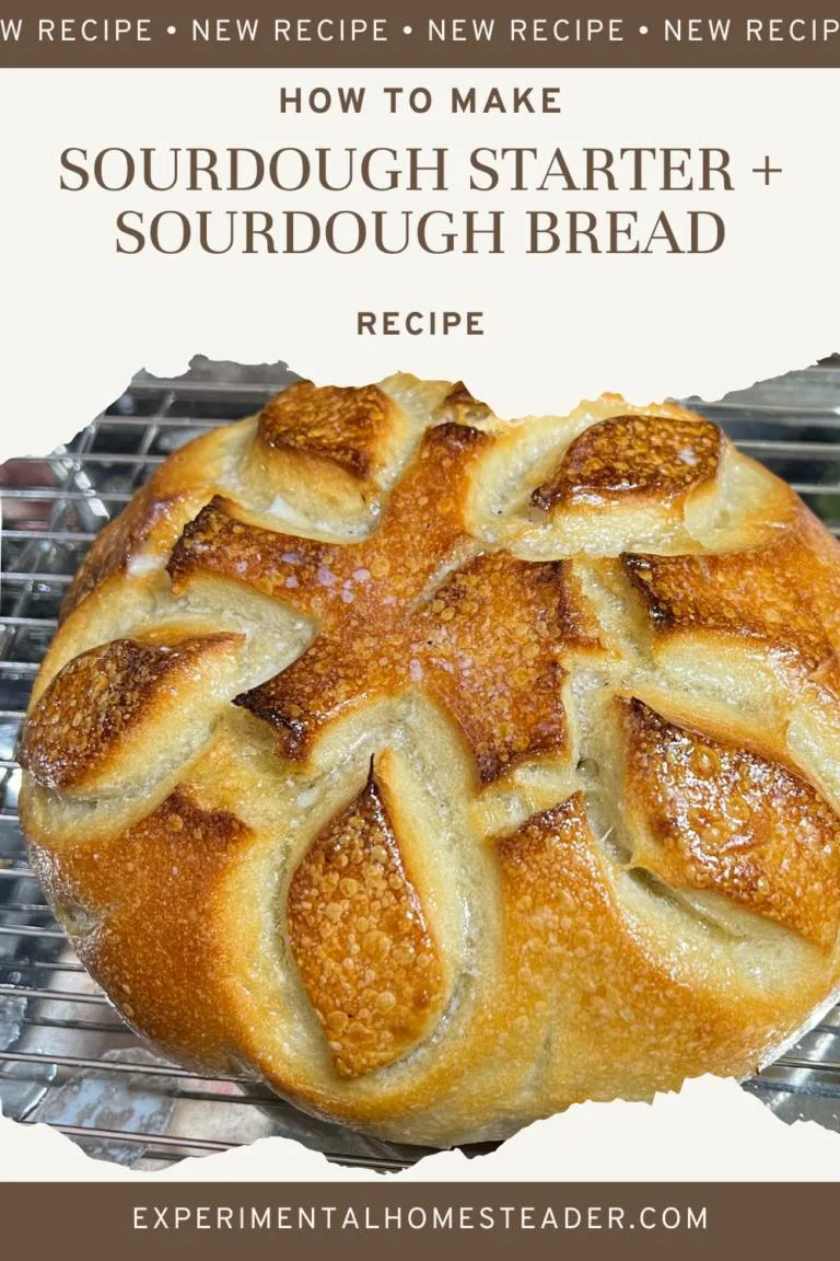 A sourdough boule baked.