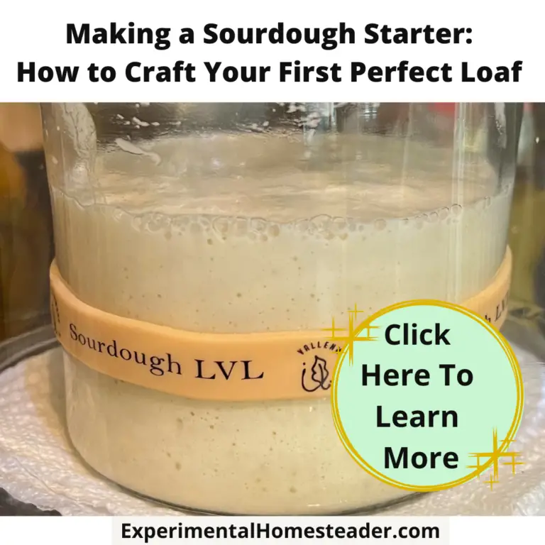 A sourdough starter bubbling away.