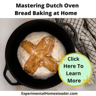 A baked loaf of bread in a cast iron Dutch Oven.