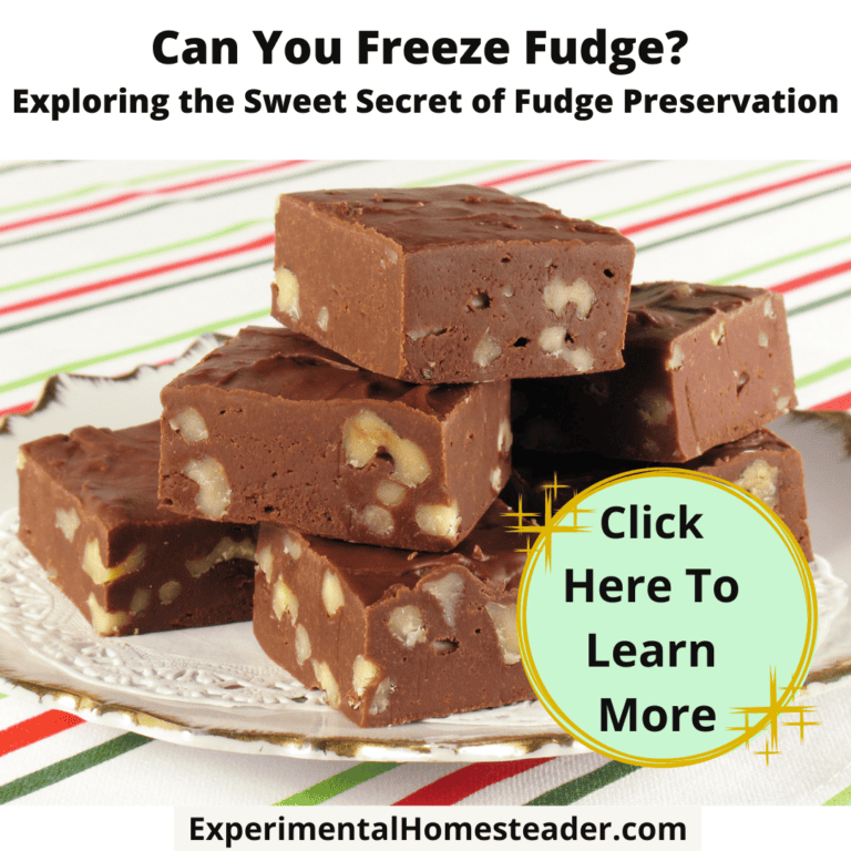 Homemade fudge with walnuts, perfect for fudge preservation and holiday treats.