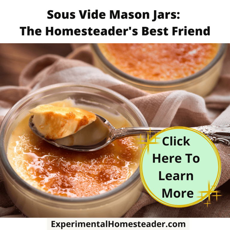 Creamy sous vide mason jar desserts with caramelized sugar topping, perfect for homesteaders.