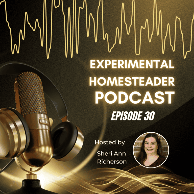 Microphone for podcast recording, gold and black headphones on a stand, close-up of podcast equipment, professional audio gear for homesteading podcast.