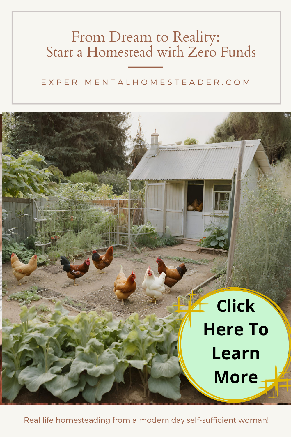 A small Kitchen garden on a homestead property with chickens close by