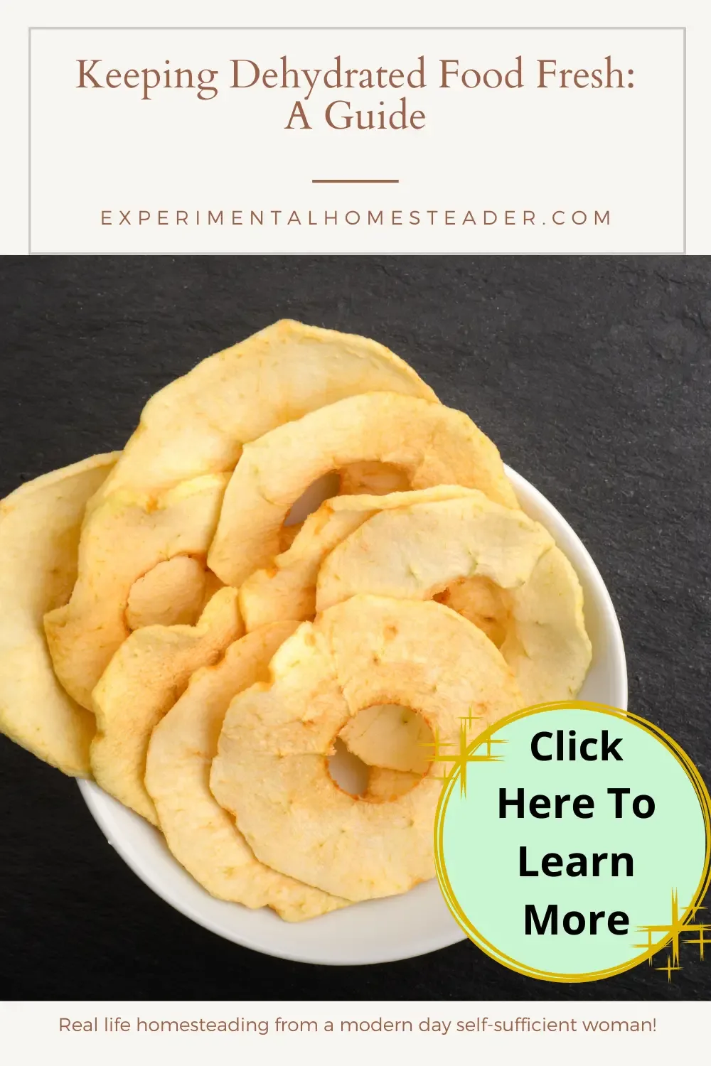 Dehydrated apple rings in a bowl on a countertop.